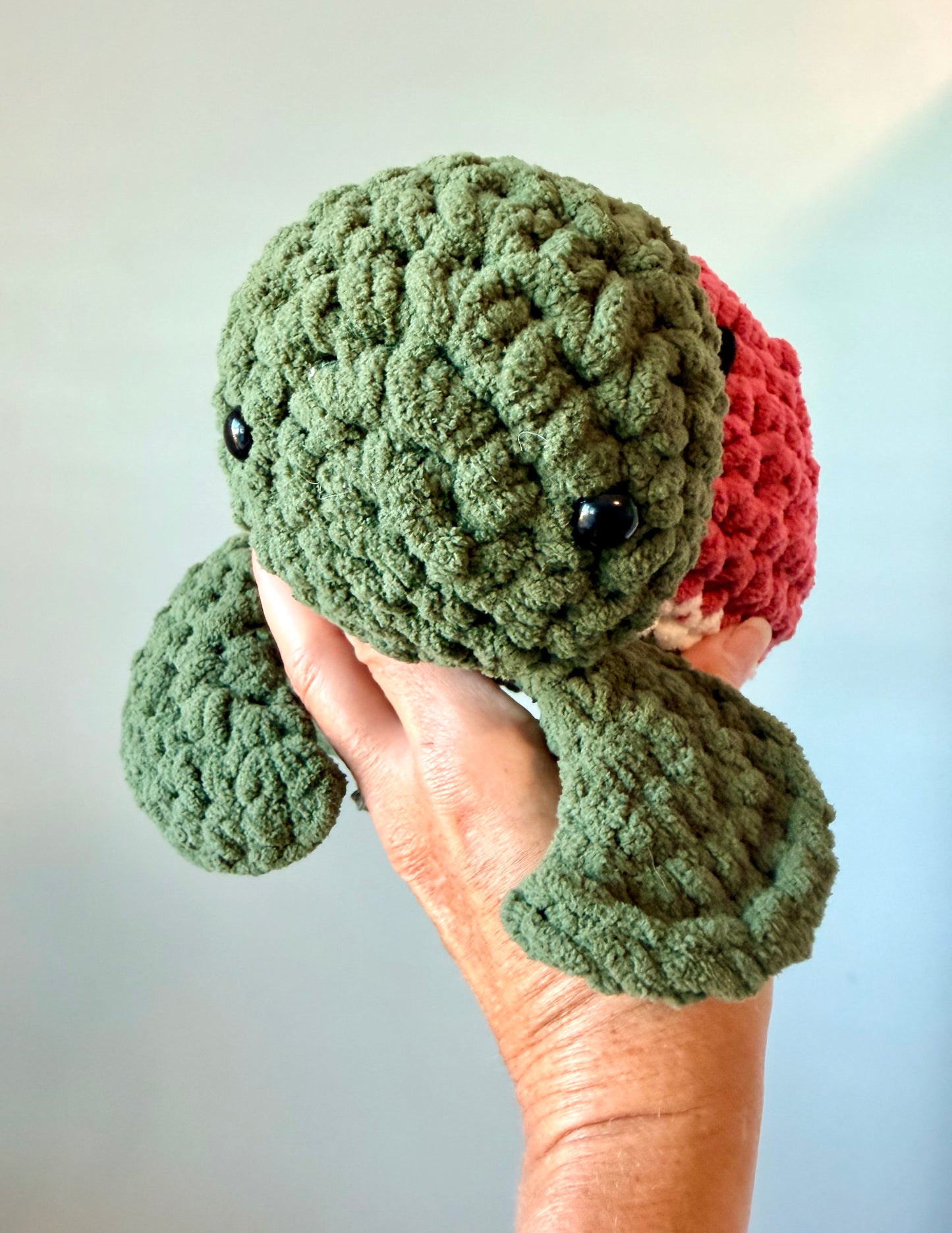 Fruit Turtle - Watermelon