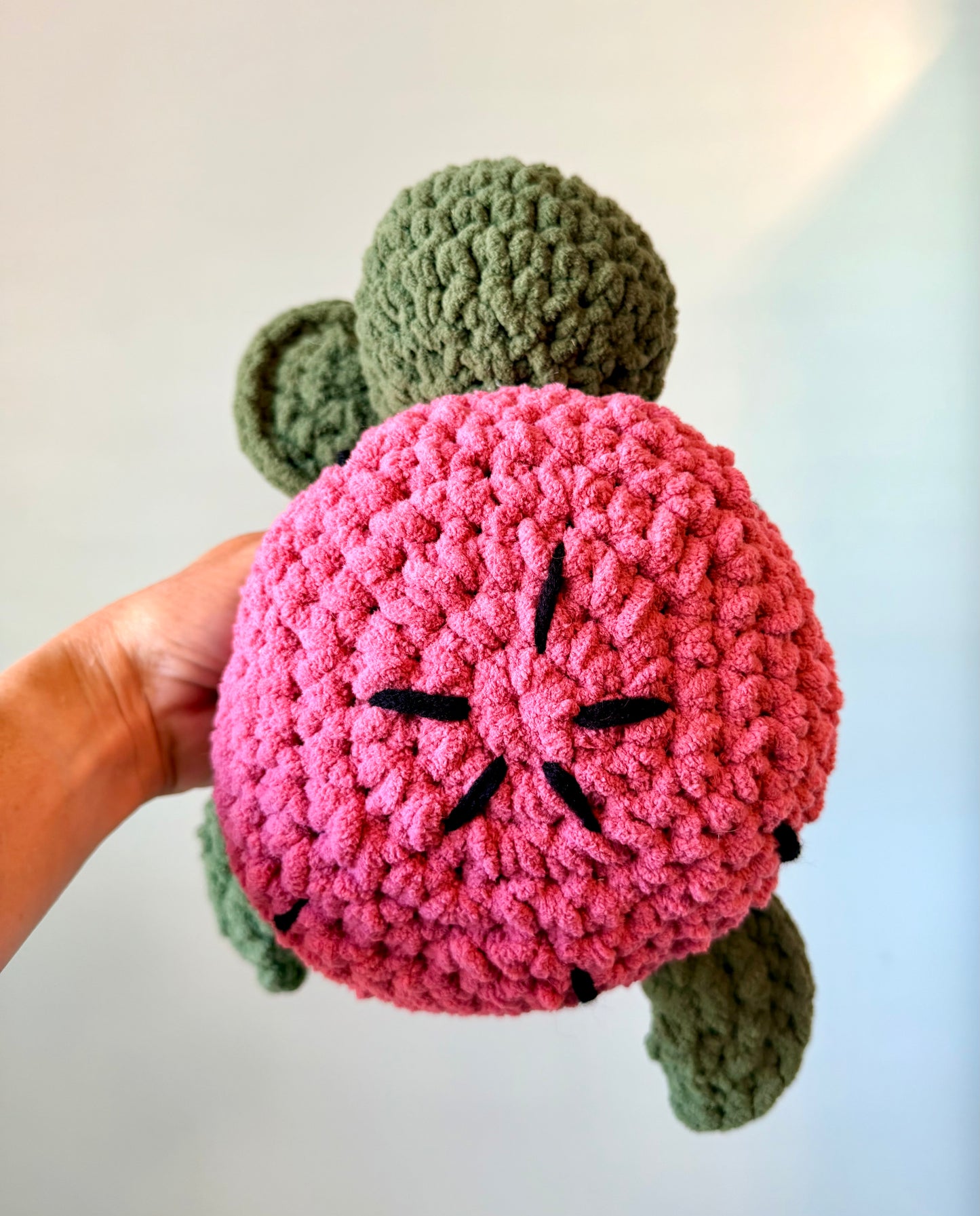 Fruit Turtle - Watermelon