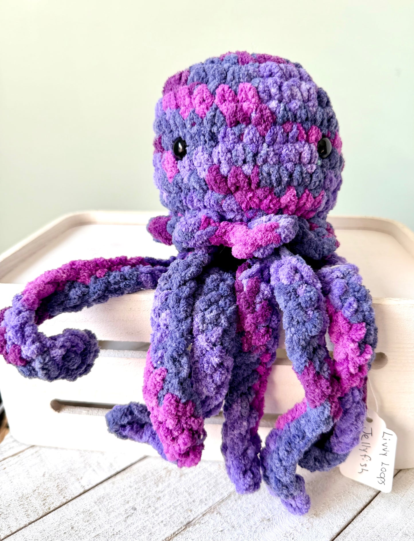 Sea Creatures - Jellyfish